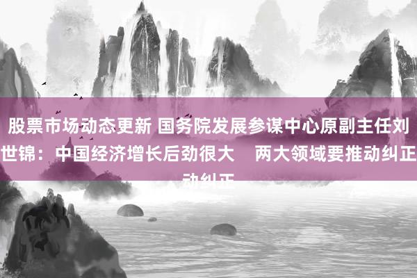 股票市场动态更新 国务院发展参谋中心原副主任刘世锦：中国经济增长后劲很大    两大领域要推动纠正